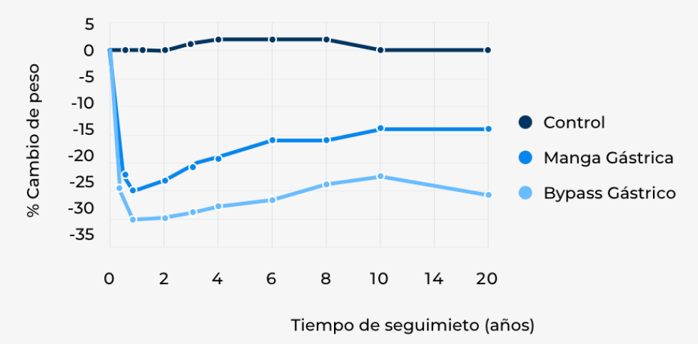 Estructura de la sangre