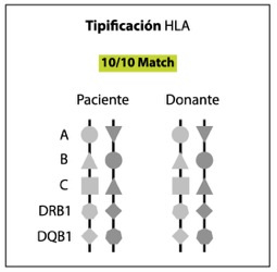 Determinación de compatibilidad tabla de compatibilidades.