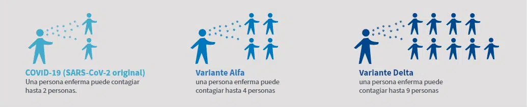 monitos COVID-19 (SARS-CoV-2 original) Una persona enferma puede contagiar hasta 2 personas. Variante Alfa una persona enferma puede contagiar hasta 4 personas Variante Delta una persona enferma puede contagiar hasta 9 personas