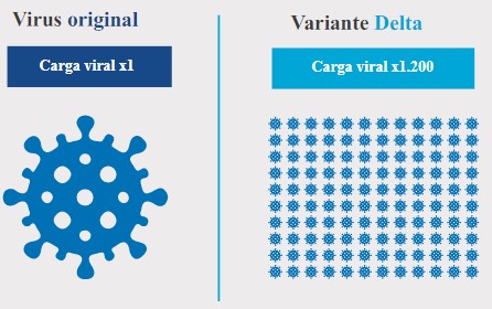 variantes variantes