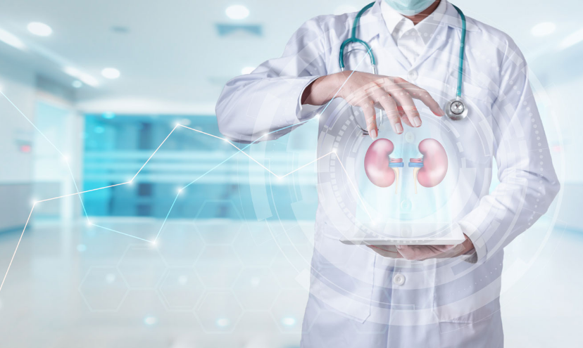 Seguimiento clinica de salud renal Seguimiento clinica de salud renal