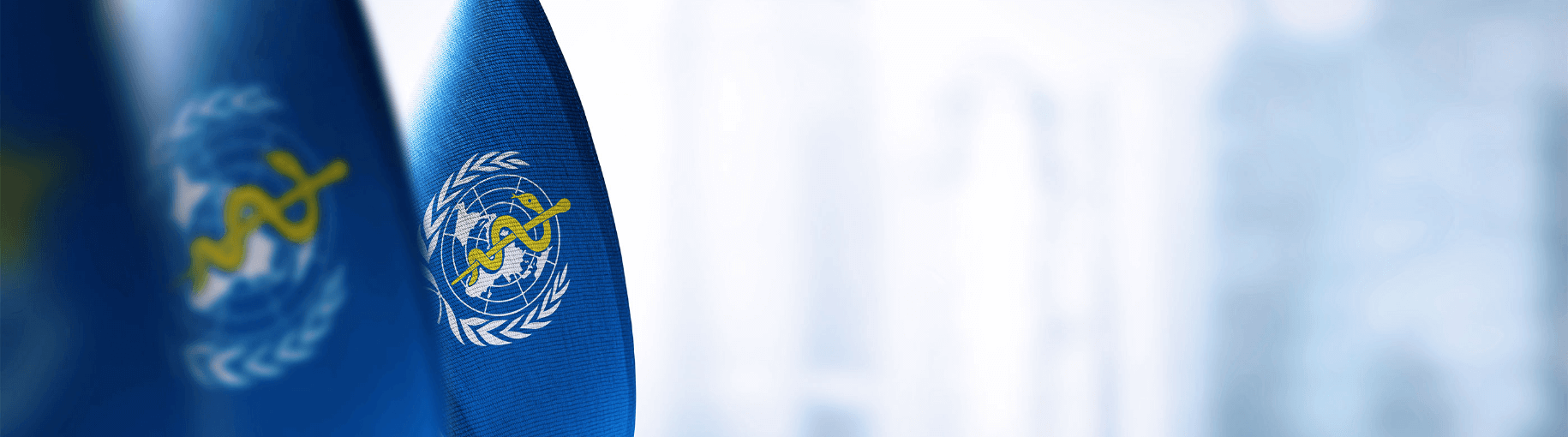 Sistema salud universal Sistema salud universal