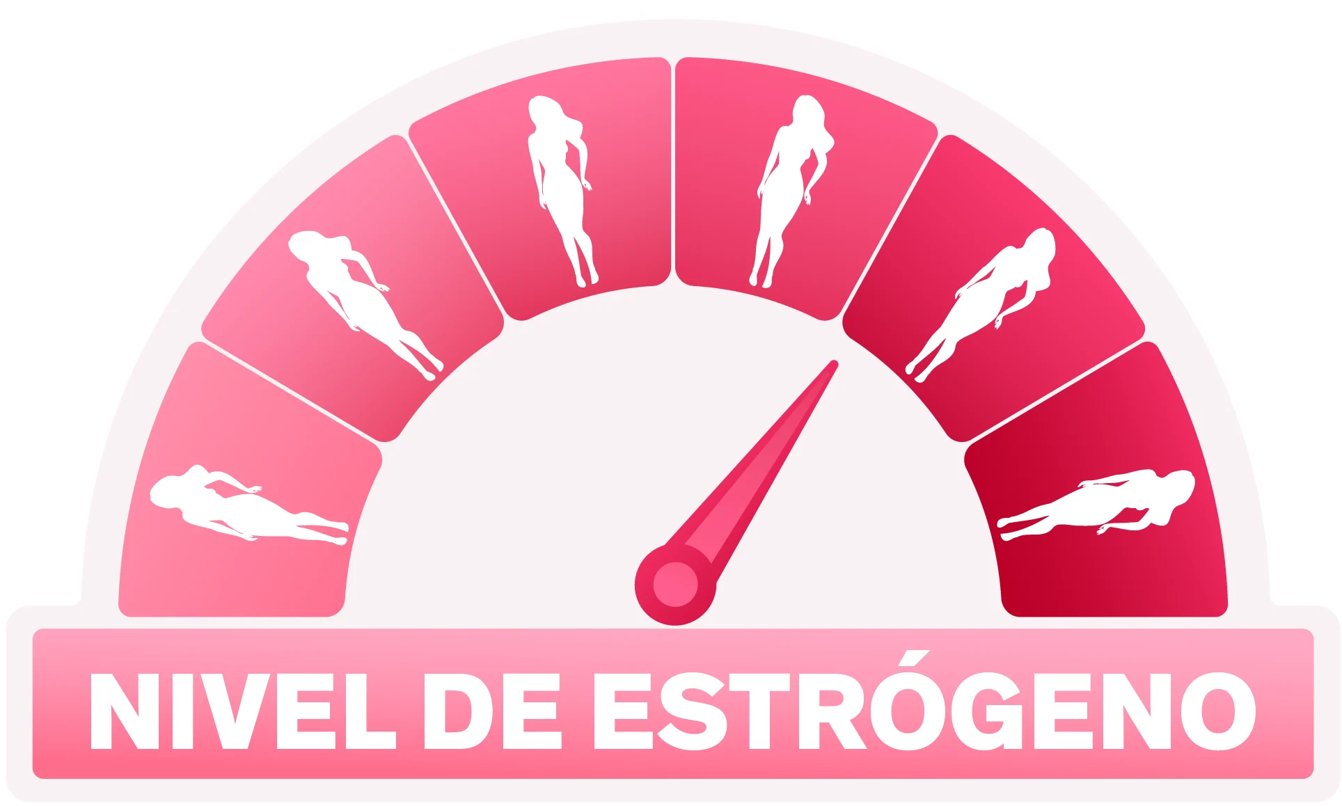 Imagen que mide el nivel de estrógenos durante la menopausia, su caída está relacionada con el desarrollo de bochornos.